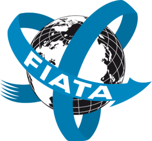 8-fiata_jP0W0FI